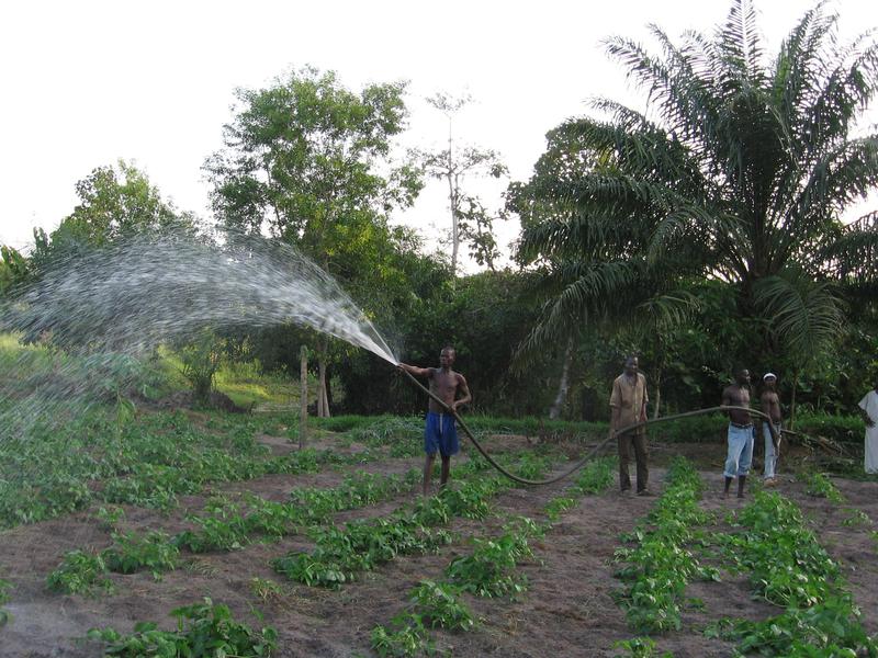 img-progetto-itticoltura-e-agricoltura