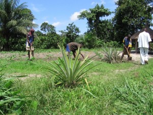 img-progetto-itticoltura-e-agricoltura